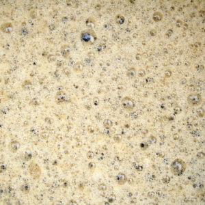 Brewers Yeast 2